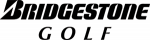 Bridgestone Internet Authorized Dealer for the Bridgestone Stanley Cup Champions 2015 E6 Golf Balls