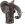 Elephant Elephant