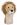 Lion Lion