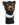 Tasmanian Devil Tasmanian Devil