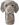 Weimaraner Weimaraner