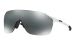 Oakley EVZero Stride Sunglasses