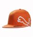 Puma Monoline 210 Fitted Cap